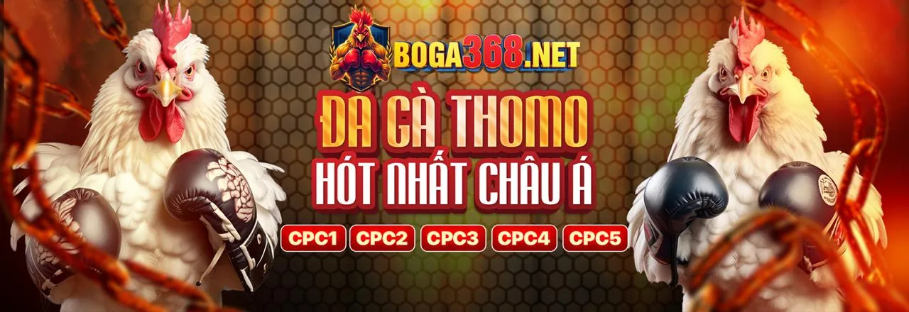 Banner khuyến mãi nohu666 chính thức với các ưu đãi độc quyền