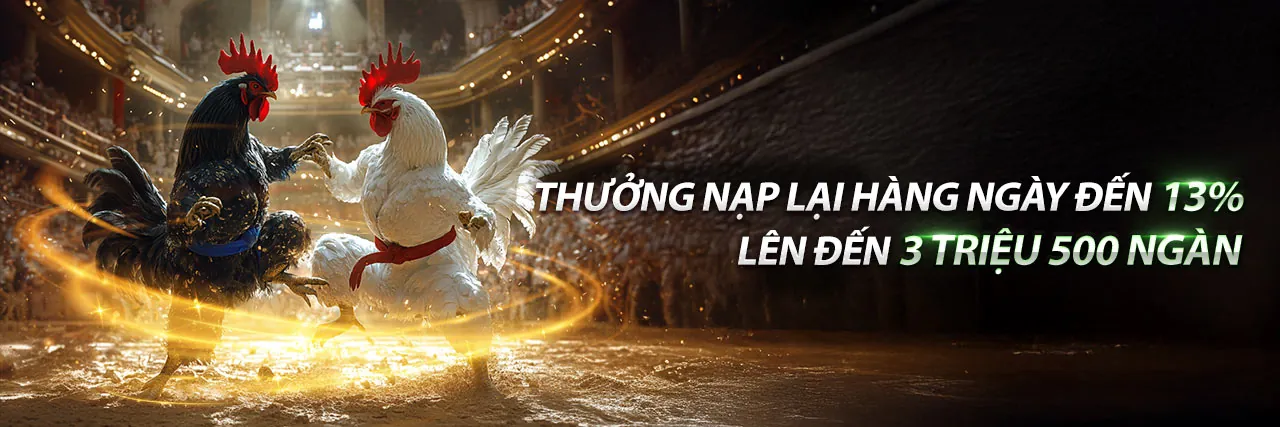 Bảo mật an toàn tại nohu666 chính thức